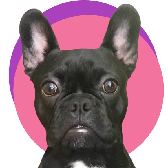 Meet your Posher, Debi - Picture 3 of 15